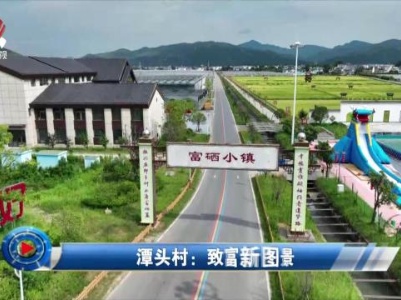 社会传真20231013 潭头村：致富新图景 