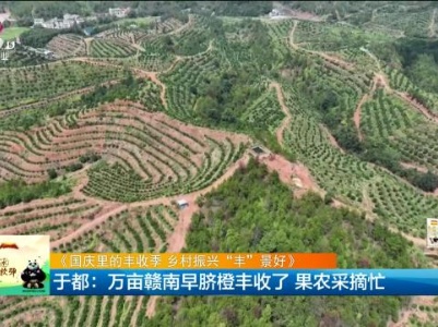 新闻晚高峰20231004