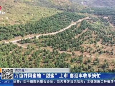 都市现场20231009