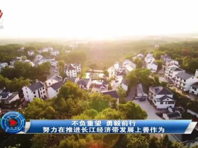 社会传真20231028 不负众望 勇毅前行 努力在推进长江经济带发展上善作为