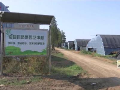 新闻晚高峰20231026