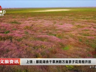 上饶：鄱阳湖余干草洲数万亩蓼子花竟相开放