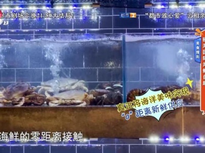 美食搜街——颐海国际海鲜自助