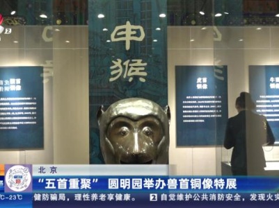 北京：“五首重聚”圆明园举办兽首铜像特展