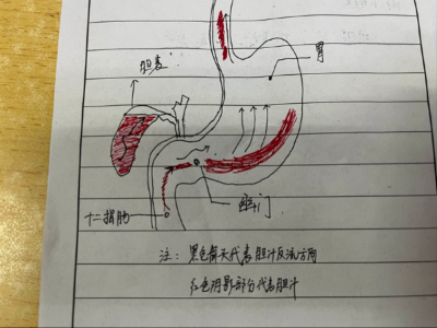 胃镜查出“肠上皮化生”怎么办？