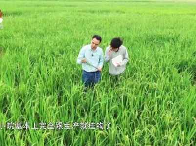 社会传真20231009 “小院”大能量