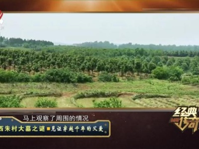 经典传奇20231128 西朱村大墓之谜·见证穿越千年的父爱