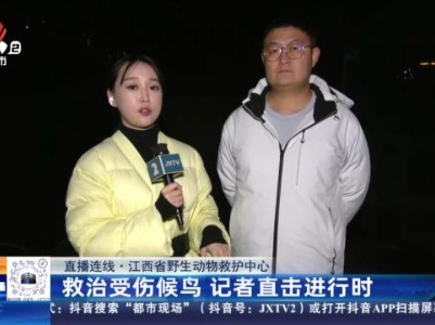 【直播连线】江西省野生动物救护中心：救治受伤候鸟 记者直击进行时