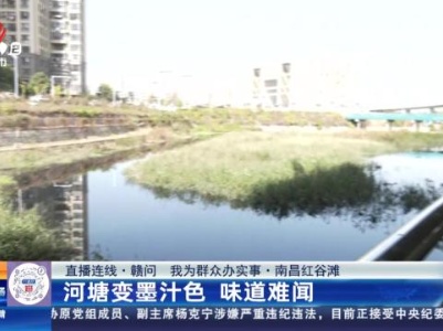 都市现场·午间版20231117