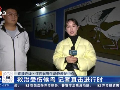 【直播连线】江西省野生动物救护中心：救治受伤候鸟 记者直击进行时