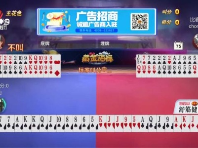 谁是赢家20231119