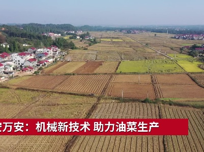 吉安万安：机械新技术 助力油菜生产
