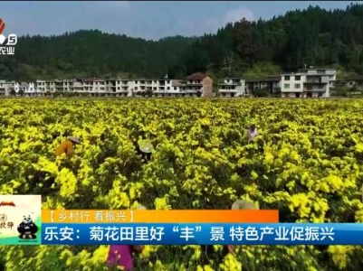 新闻晚高峰20231120