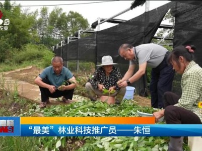 “最美”林业科技推广员——朱恒
