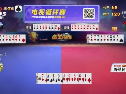 谁是赢家20231117