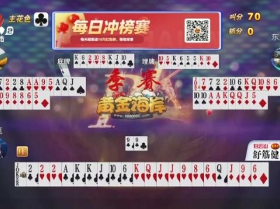 谁是赢家20231104
