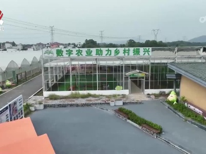 【学思想 强党性 重实践 建新功】找准关键点发力点  在主题教育中助推农业农村高质量发展