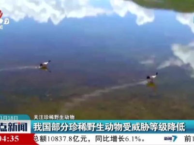 【关注珍稀野生动物】我国部分珍稀野生动物受威胁等级降低