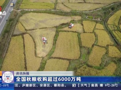 全国秋粮收购超过6000万吨
