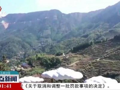 前三季度我国新改建农村公路11.8万公里