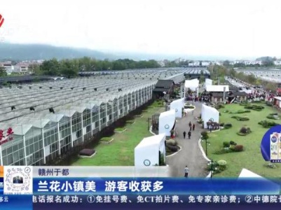 赣州于都：兰花小镇美 游客收获多