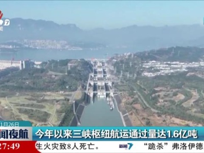 今年以来三峡枢纽航运通过量达1.6亿吨