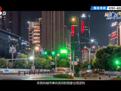 都市放心游20231105