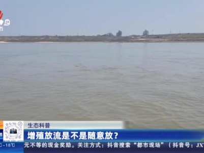 都市现场20231114
