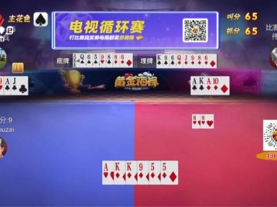 谁是赢家20231115