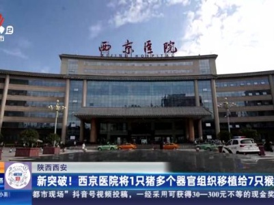 陕西西安：新突破！西京医院将1只猪多个器官组织移植给7只猴