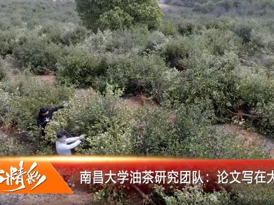 赣出精彩20230405