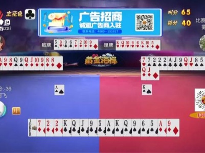 谁是赢家20231127