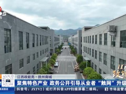 都市现场20231111