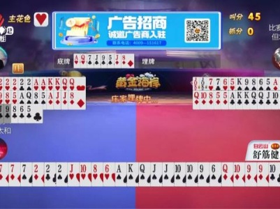 谁是赢家20231106