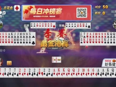 谁是赢家20231101