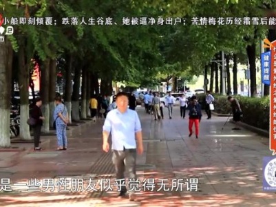 地宝当家20231130