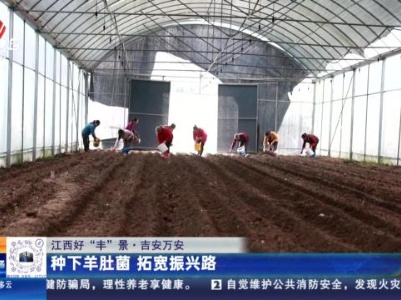 【江西好“丰”景】吉安万安：种下羊肚菌 拓宽振兴路