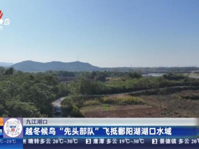 九江湖口：越冬候鸟“先头部队”飞抵鄱阳湖湖口水域