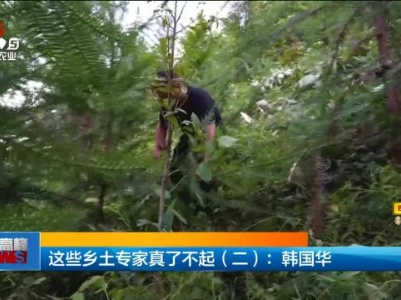 这些乡土专家真了不起（二）：韩国华