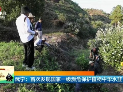 武宁：首次发现国家一级濒危保护植物中华水韭