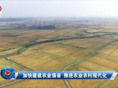 社会传真20231102 加快建设农业强省 推进农业农村现代化
