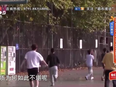 地宝当家20231116