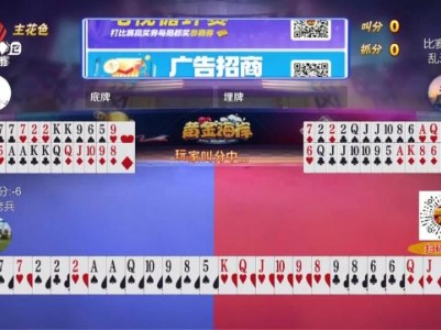 谁是赢家20231120