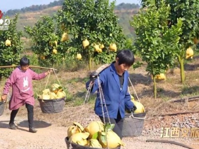 江西文旅报道20231129