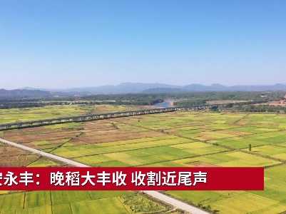 吉安永丰：晚稻大丰收 收割近尾声