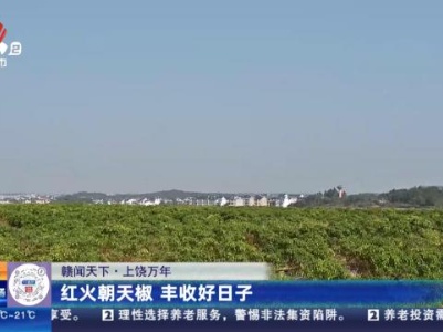 都市现场·午间版20231106