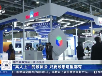 【第二届数贸会】浙江杭州：“高大上”的数贸会 只要敢想这里都有