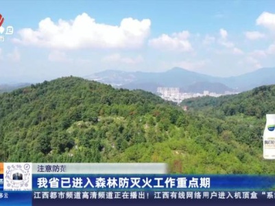 都市现场20231103