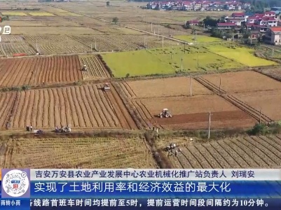 都市现场·午间版20231109