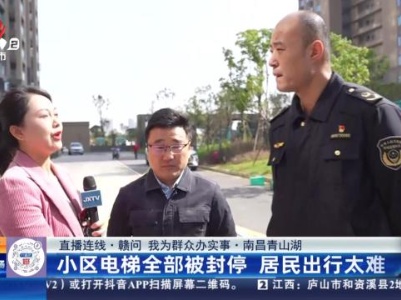 都市现场·午间版20231116
